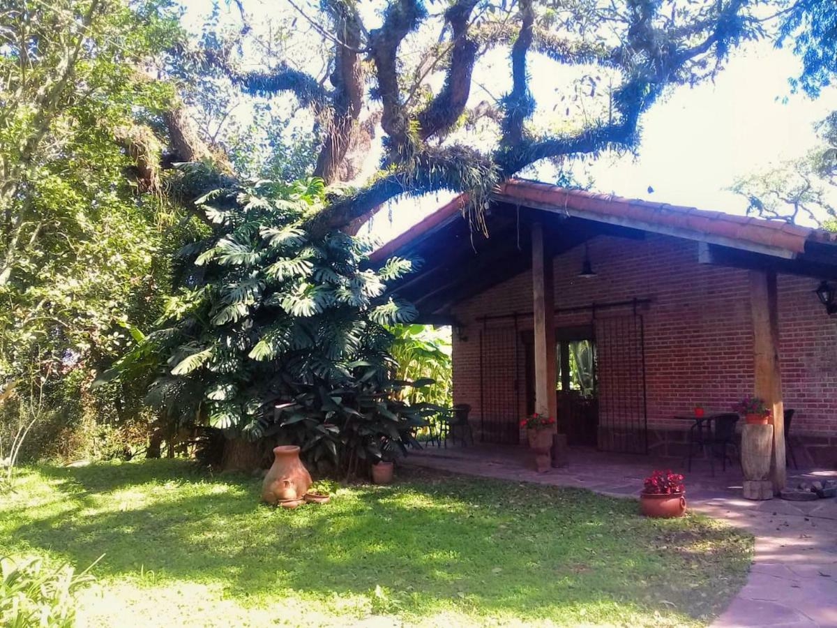 Hostel Terrazas Del Coya San Salvador de Jujuy Exterior foto